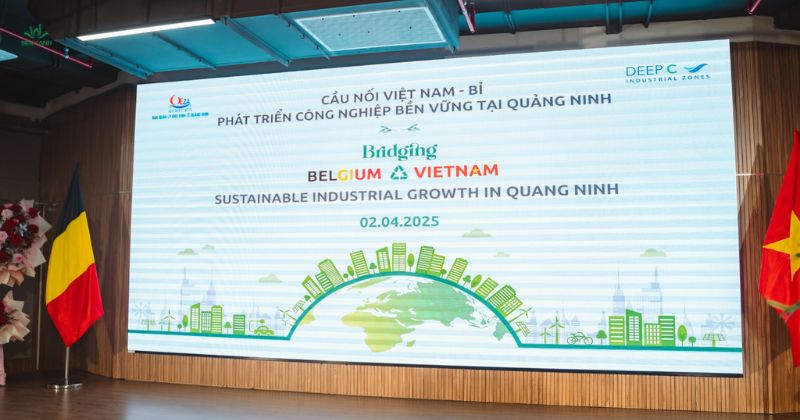 cầu nối Việt Nam - Bỉ