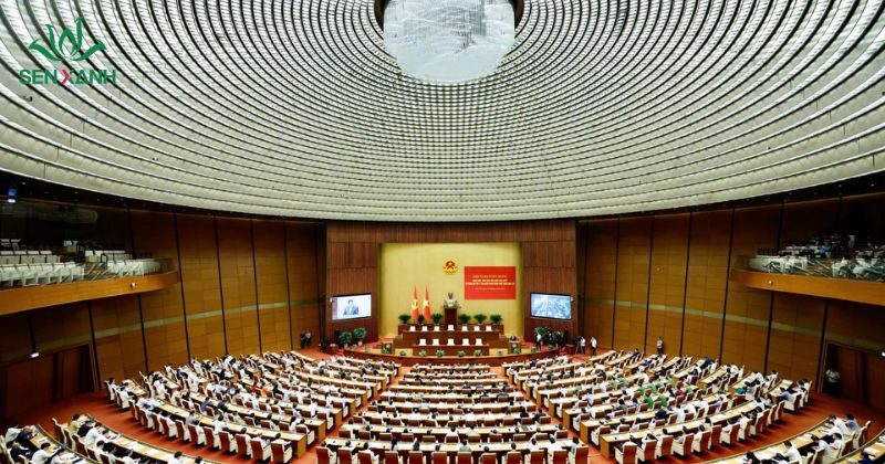 Tổ chức hội nghị chuyên nghiệp