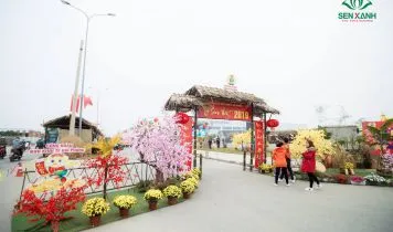 617d39ecb4df8 tet sum vay cdkkt hai phong