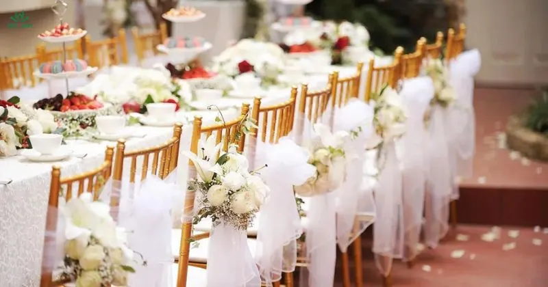 Cho thuê ghế tiffany – Chiavari uy tín giá rẻ tại Hà Nội