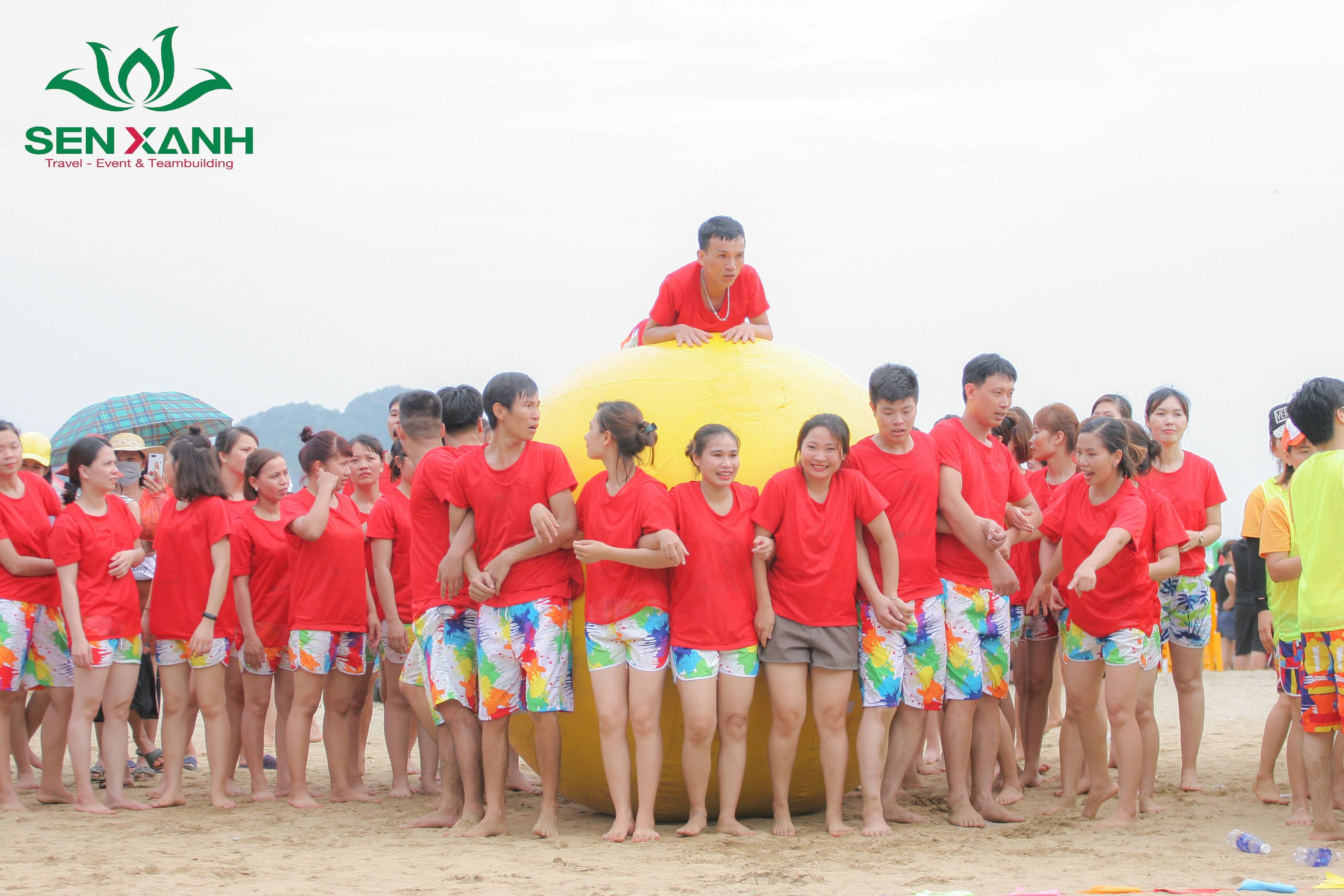 Teambuilding TOYODA GOSSEI 2019 Teambuilding TOYODA GOSSEI 2019