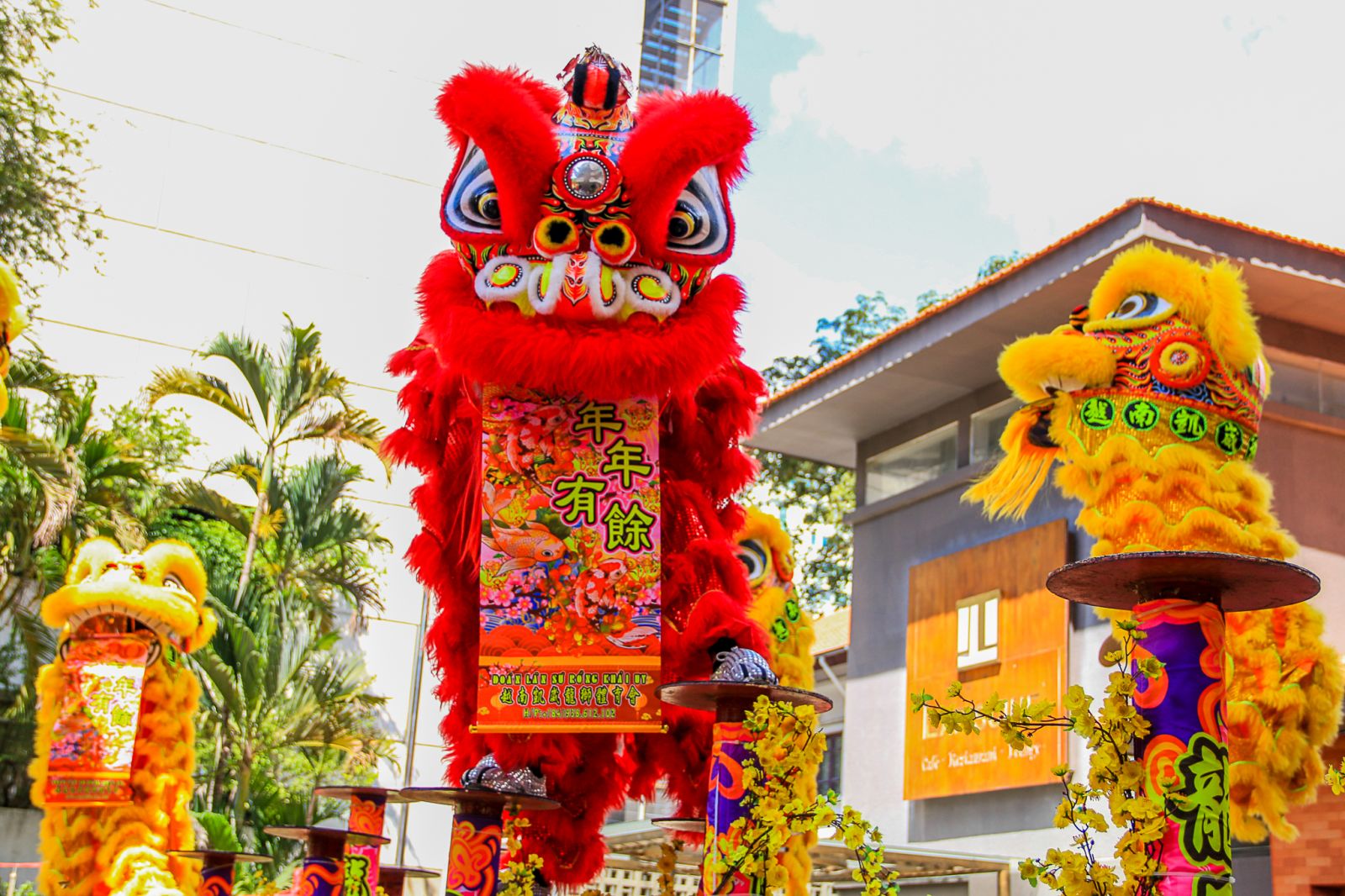 nguồn gốc lân sư rồng