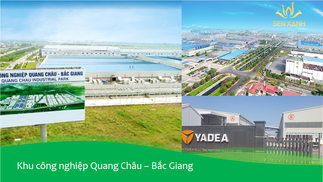 Cùng Sen Xanh Event nâng tầm sự kiện doanh nghiệp tại Quang Châu - Bắc Giang