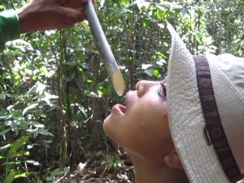 sống sót trên hoang đảo