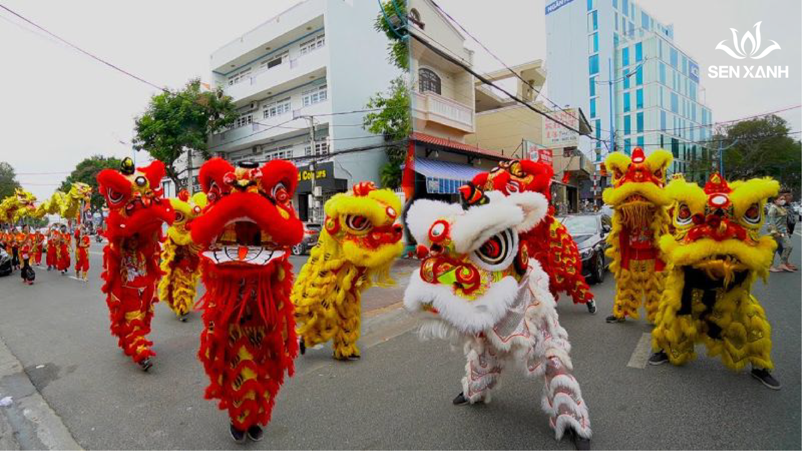 Cá nhân, doanh nghiệp không nên sử dụng dịch vụ múa lân có giá rẻ bất ngờ